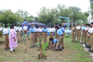 Tree Plantation by NCC Cadets